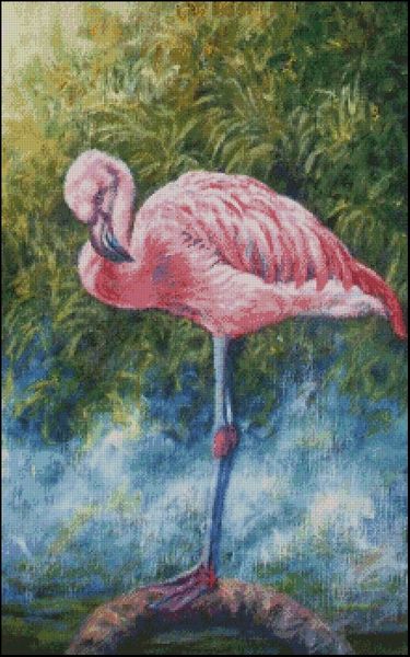 (image for) Flamingo - JM